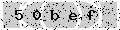 verify code