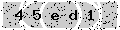 verify code